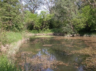 Parco del Pò